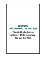 Công tác kế toán tổng hợp tại Công ty TNHH thương mại điện máy Bình Minh