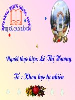 bài giảng ôn tập cuối năm đại số 9