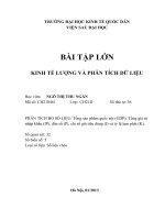 BÀI TẬP LỚN  KINH TẾ LƯỢNG VÀ PHÂN TÍCH DỮ LIỆU Tổng sản phẩm quốc nội (GDP), Tổng giá trị nhập khẩu (IP), dân số (P), chỉ số giá tiêu dùng (I) và tỷ lệ lạm phát (K)