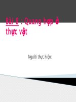 Quang hợp ở thực vật