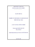 Nghiên cứu bón phân cân đối cho ngô trên đất bạc màu