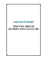 Tính toán, thiết kế hệ thống băng tải sấy chè