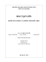 BÀI TẬP LỚN  KINH TẾ LƯỢNG VÀ PHÂN TÍCH DỮ LIỆU