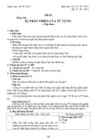 Tiết 25   sự phát triển của từ vựng