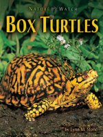 box turtles(nature watch)