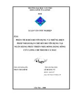 PHÂN TÍCH RỦI RO TÍN DỤNG VÀ NHỮNG BIỆN  PHÁP NHẰM HẠN CHẾ RỦI RO TÍN DỤNG TẠI  NGÂN HÀNG PHÁT TRIỂN NHÀ ĐỒNG BẰNG SÔNG  CỬU LONG CHI NHÁNH CÀ MAU