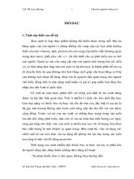 Nghiên cứu sử dụng một số loại thực vật thuộc họ hành tỏi (ALLIUMACEAE) trong phòng trừ sâu hại rau bắp cải vụ đông xuân chính vụ năm 2010 tại Thái Nguyên