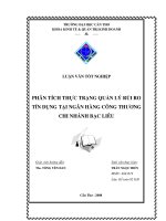 Phân tích thực trạng quản lý rủi ro tín dụng tại ngân hàng công thương chi nhánh Bạc Liêu