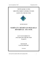 Nghiên cứu chế biến sản phẩm jelly hỗn hợp gấc  dừa nước