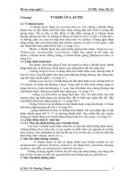 Sản xuất nem chua vi khuẩn lactic