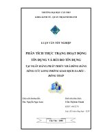 PHÂN TÍCH THỰC TRẠNG HOẠT ĐỘNG TÍN DỤNG VÀ RỦI RO TÍN DỤNG TẠI NGÂN HÀNG PHÁT TRIỂN NHÀ ĐỒNG BẰNG SÔNG CỬU LONG PHÒNG GIAO DỊCH SA ĐÉC  ĐỒNG THÁP
