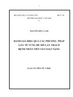 đánh giá hiệu quả các phương pháp gây tê vùng để mổ lấy thai ở bệnh nhân tiền sản giật nặng