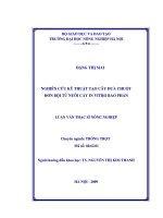 Nghiên cứu kỹ thuật tạo cây dưa chuột đơn bội tử nuôi cấy in vitro bao phấn
