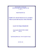 Nghiên cứu chuyển dịch cơ cấu lao động theo ngành trên địa bàn tỉnh vĩnh phúc