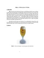 Tổng quan về bia và quy trình sản xuất bia