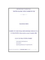 Nghiên cứu một số đặc điểm sinh học, sinh sản của cá trạch sông (mastacembelus armatus lacepède,1800)
