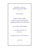 Nghiên cứu rệp sáp hồng saccharicoccus sacchari cockrell hại mía và biện pháp phòng trừ tại thanh hoá