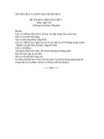 đề thi hsg văn tỉnh thanh hóa