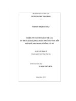 Nghiên cứu cấu trúc quần thể loài cá trích (sardinella gibbosa, bleeker 1894) ở các vùng biển phú quốc, nha trang, đà nẵng, cát bà