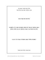 Nghiên cứu một số biện pháp kỹ thuật trồng hoa đồng tiền Salan trong chậu tại Thái nguyên