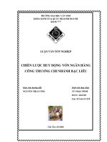 Chiến lược huy động vốn ngân hàng công thương chi nhánh Bạc Liêu