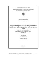 So sánh khả năng của các loại bánh men thuốc bắc trên thị trường thành phố cần thơ