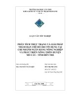 PHÂN TÍCH THỰC TRẠNG VÀ GIẢI PHÁP  NHẰM HẠN CHẾ RỦI RO TÍN DỤNG TẠI  CHI NHÁNH NGÂN HÀNG NÔNG NGHIỆP  VÀ PHÁT TRIỂN NÔNG THÔN HUYỆN  MỎ CÀY  TỈNH BẾN TRE