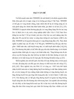 tình trạng rối loạn đường huyết ở bệnh nhân nhồi máu não giai đoạn cấp