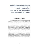 Ứng dụng vi sóng trong chiết xuất polyphenol từ cây chè