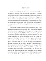 nghiên cứu đặc điểm lâm sàng rối loạn trầm cảm và loạn thần trong bệnh lupus ban đỏ hệ thống
