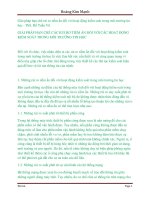 Giải pháp hạn chế rủi ro tiềm ẩn đối với hoạt động kiểm soát trong môi trường tin học   ths  hồ tuấn vũ