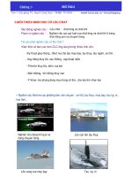 Bài giảng Cơ Lưu Chất