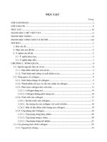 Tách chiết và xác định một số tính chất đặc trưng của collagen từ da cá tra