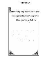 Tiểu luận thực trạng công tác đào tạo và phát triển nguồn nhân lực tại công ty cổ phần vận tải và dịch vụ   luận văn, đồ án, đề tài tốt nghiệp
