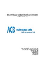 GIẢI PHÁP RÚT NGẮN 5 KHOẢNG CÁCH CHẤT LƯỢNG DỊCH VỤ TRONG HOẠT ĐỘNG QUẢN  TRỊ DỊCH VỤ NGÂN HÀNG TẠI NGÂN HÀNG CỔ PHẦN Á CHÂU ( ACB )