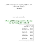 Đánh giá khả năng quan trắc sinh học của cây Ginkgo đối với PAHs