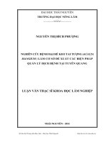 nghiên cứu bệnh hại rễ keo tai tượng (acacia mangium) làm cơ sở đề xuất các biện pháp quản lý dịch bệnh tại tuyên quang