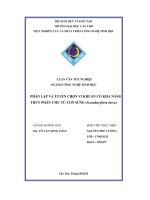 Phân lập và tuyển chọn vi khuẩn có khả năng phân giải CMC từ con sùng (scarabaeiform larva)