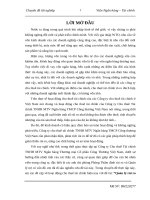 BÁO CÁO THỰC TẬP QUẢN LÝ RỦI RO TẠI  VIETINBANK LEASING