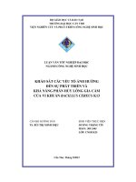 Khảo sát các yếu tố ảnh hưởng đến sự phát triển và khả năng phân hủy lông gia cầm của vi khuẩn bacillus cereus k13 dương