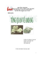 Tổng quan về amiang