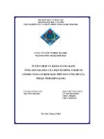 Tuyển chọn và khảo sát đa dạng vùng gen 16s rDNA của một số dòng vi khuẩn có khả năng cố định đạm trên đất vùng rễ lúa thuộc tỉnh kiên giang