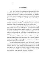 đánh giá hiểu biết của bệnh nhân lupus ban đỏ hệ thống về các yếu tố ảnh hưởng đến diễn biến của bệnh