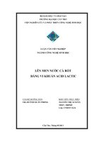 Lên men nước cà rốt bằng vi khuẩn acid lactic