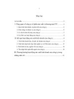 Thực tập tổng hợp tại công ty cổ phần sản xuất và thương mại p.p