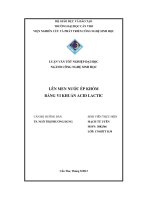 Lên men nước ép khóm bằng vi khuẩn acid lactic
