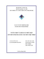 Tuyển chọn và khảo sát điều kiện lên men ethanol bằng nấm men chịu nhiệt