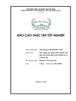 Báo cáo thực tập: Xây dựng mô hình kinh doanh tại Tamarind Cafe