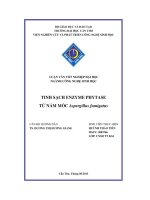 Tinh sạch enzyme phytase từ nấm mốc aspergillus fumigatus