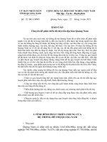 Báo cáo chuyên đề phát triển đô thị trên địa bàn tỉnh Quảng Nam